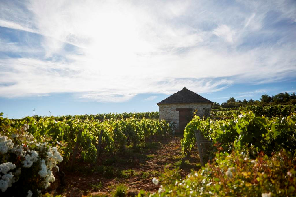 Bouchard Père & Fils