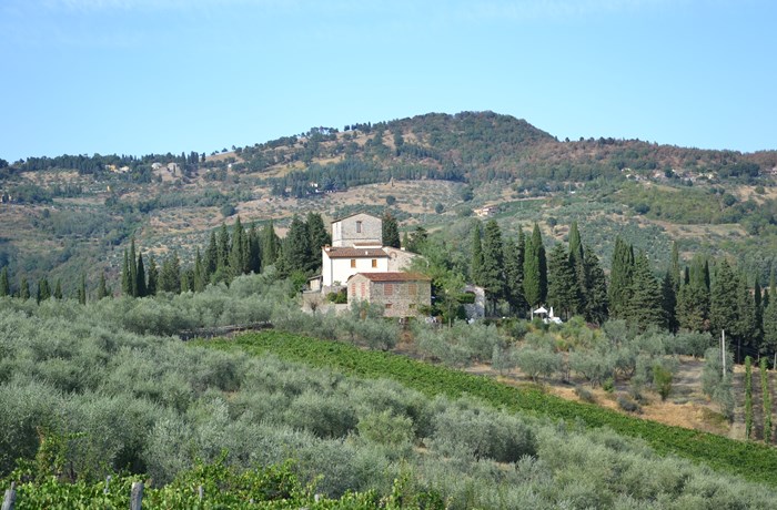 Renzo Masi Basciano