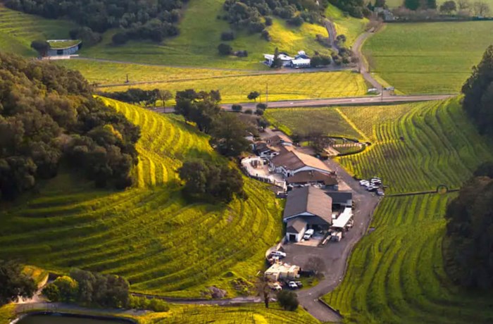 Pine Ridge Vineyards
