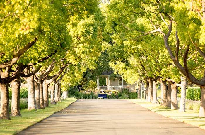 St. Supéry