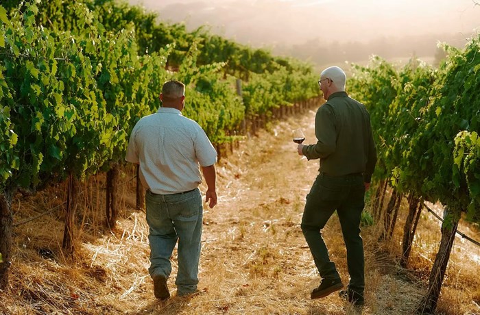 Seghesio Family Vineyards